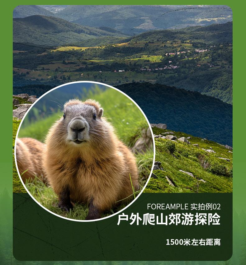 迷彩双筒详情页_17.jpg