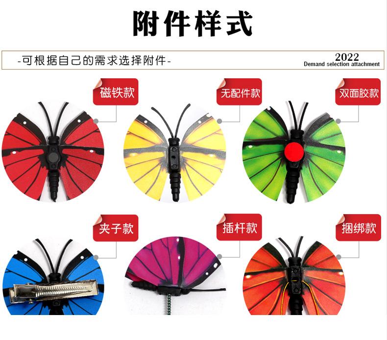 闪光蝴蝶详情_07.jpg