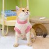 Ropa Nueva para Perro Mascota de Felpa de Dinosaurio Cálida para Perro Pequeño Otoño e Invierno Espesa Ropa para Perro Teddy Bichón Venta al por Mayor