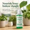 KineShineX Solución Nutritiva para Plantas de Interior en Maceta Fertilizante Concentrado Hidrosoluble para Plantas Verdes, Suculentas, Monstera y Uso General