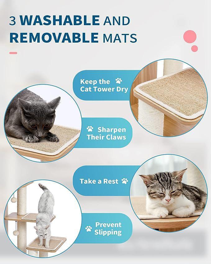 71XSjbQCTfL._AC_SX679_