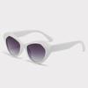 Nuevas Gafas de Sol Retro Ojo de Gato de Alta Gama Transfronterizas Moda Gafas de Sol Poligonales Gafas con Filtro Solar para Selfies INS CL