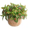Césped Artificial, Flores Artificiales y Plantas Verdes para Paisajismo de Ingeniería; Decoración de Pared de Plantas Verdes de Moda con Taro de 5 Hojas y 60 Hojas de Colores Simulados