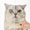Kit de cepillo de dientes y pasta dental para gato, compañero fresco, productos de limpieza bucal, tono fragancia a leche, especial para gatos 45g parry