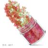 Explosões Transfronteiriças Magic Butterfly Sequins 12 Color Nail Art Sequins Set Matte Pearlescent Nail Art Patch