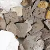 Juguetes de Excavación Arqueológica de Fósiles Naturales Caja Sorpresa Fósiles de Animales y Plantas Marinas Paleontológicas Dientes Esqueleto Piedra Bruta Venta al por Mayor