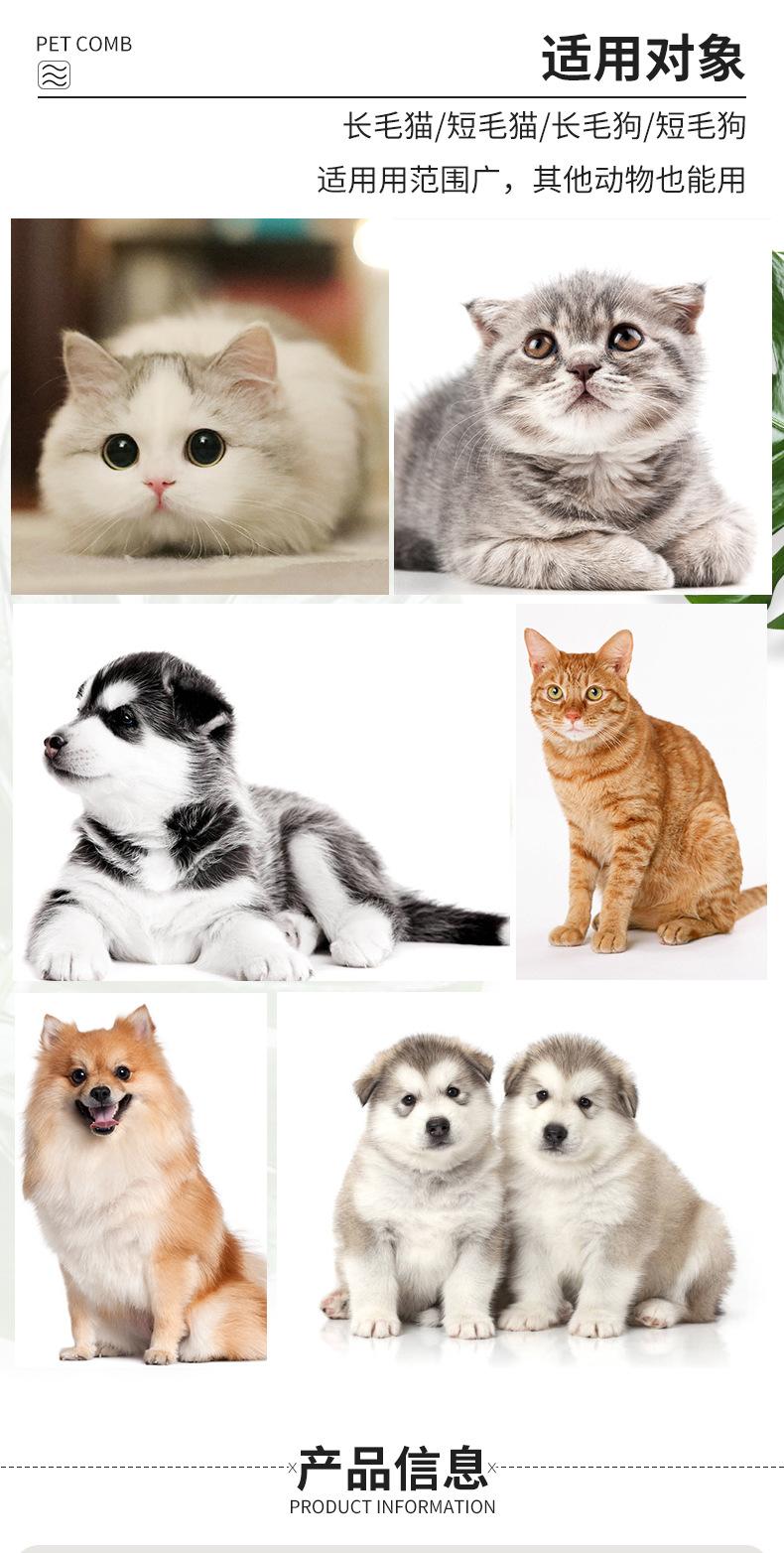 宠物梳子12_06
