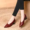 Comércio Exterior Transfronteiriço Primavera e Outono Bico Fino Abertura em V Moda Versátil Salto Alto Elegante Confortável Versátil Couro Genuíno Salto Médio Sapatos de Salto