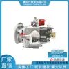 Em Estoque 3893825 Conjunto da Bomba de Combustível/Adequado para Peças de Motor a Combustível Automotivo Cummins Atacado e Varejo