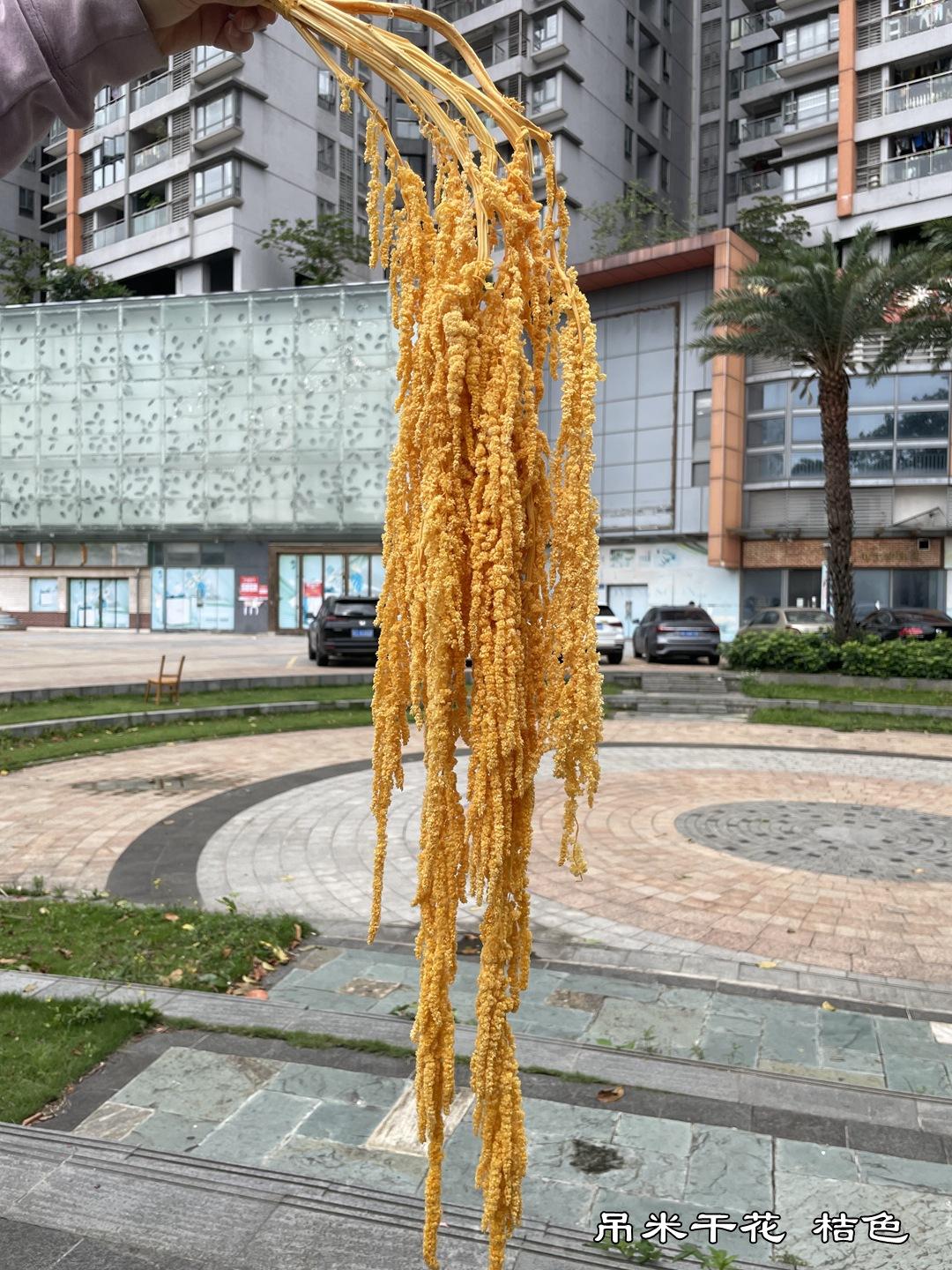 微信图片_20220502122003.jpg