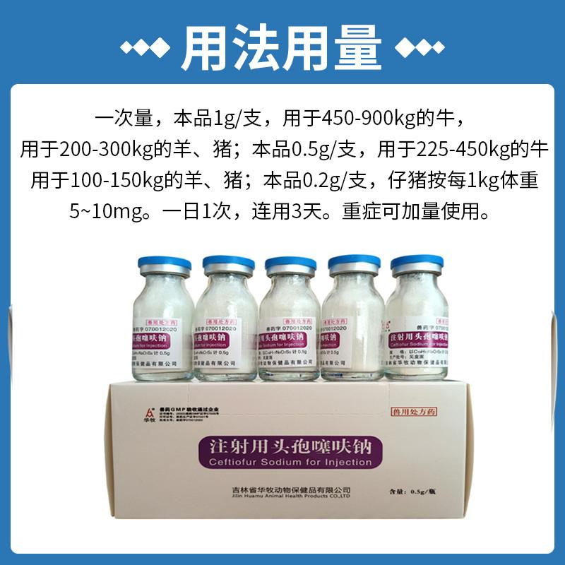 用法 (2)