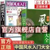 Guia Completo de Feng Shui Residencial: Guia para Iniciantes de Feng Shui Residencial, Dicas de Decoração Moderna, Conhecimento de Feng Shui Residencial