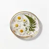 Posavasos de Acrílico con Flores Prensadas de Nuevo Producto Transfronterizo