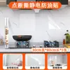 Pegatina Anti-Grasa para Cocina, Película Protectora Electroestática Transparente Gruesa Desprendible, Impermeable y Resistente a la Suciedad para Paredes del Hogar