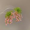 Aretes de Acero Pin Lazo Cuentas de Arroz Concha Verano Suave Elegante Elegantes Aretes Diseño con Sentido Nicho