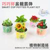 Plantio Divertido Vasos Pequenos Crianças DIY Feito à Mão Sementes de Flores Cubos de Feijão Pequenos Liuyi Planta Verde Presente Decoração de Mesa