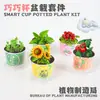 Plantas em Vasos Pequenas Divertidas, Sementes de Flores Artesanais DIY para Crianças, Presentes de Plantas Verdes para o Dia das Crianças, Decorações Criativas para Mesa