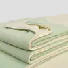 Colcha de Ar Condicionado Avançada Sense Classe A Dupla Face Sensação Fresca Antibacteriana Seda de Gelo Verão Colcha Fresca Lavável à Máquina Núcleo de Colcha Colcha Fina de Verão