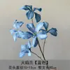 Simulación de orquídea de llama 7 bauhinia área de bienvenida fondo pared arreglo floral decoración flor de seda escenario guía de camino simulación flor