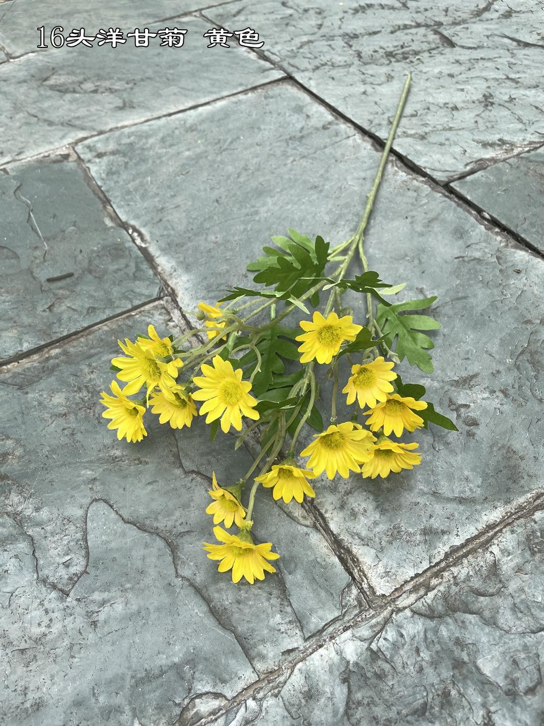 微信图片_20210806144743_副本