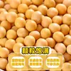 Nuevos frijoles de soya cultivados en granjas del noreste germinan en brotes de soya, adecuados para hacer sopa, desayuno nutritivo y leche de soya.