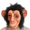 Máscara de Animal Orangután Casco Matacabezas Sala de Escape Casa Embrujada Fantasma de Terror Disfraz Accesorios para Fiesta de Halloween