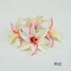 Caixa de Presente Flor Branca Pequena Decoração Adereço de Cabeça Étnico Grampo de Cabelo Flor Produção DIY Decoração Feita à Mão Chapéu de Formatura