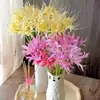 Bulbos de lirio de los valles, Plantas de amarilis en maceta, Semillas de licina, bulbos grandes, flores de balcón, florecen en todas las estaciones