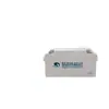 Batería Fujian Minhua Bt-Hse-100-12/12V100Ah/65Ah/38Ah Nueva Batería Sait