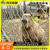 Valla de malla de alambre galvanizado en caliente con forma de diamante zoo para cerramiento de patio, aislamiento de cría de ganado, ovejas, burros, ciervos