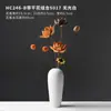 Ramos de flores secas, adornos decorativos de flores reales, flores de loto secas, capullos de loto, raíces de loto naturales, arreglos florales inspirados en Zen, decoraciones para sala de estar chinas.