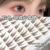 [Toma Especial] Pestañas Postizas Segmentadas Marrones Novato Sin Pegamento Espejo Sobrenatural Simulando Racimos Individuales en Ojos de Mariposa de Cómic