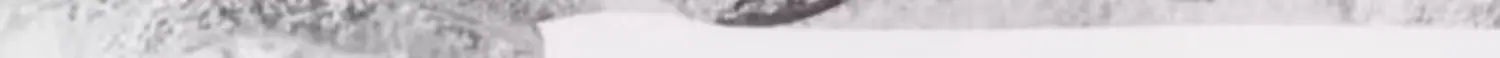 详情图12