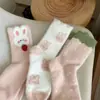 Calcetines de Terciopelo de Visón para Mujer, Calcetines de Media Pantorrilla para Otoño e Invierno, Forrados de Felpa y Engrosados, Calcetines Largos para Dormir Calientes y Lindos, Calcetines de Piso para el Hogar para Estudiantes