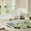 Ins Estilo Mini Criativo Pequeno Vaso Internet Celebridade Vintage Vaso de Vidro Transparente Hidropônico Verde Rosa Arranjo de Flores Decoração de mesa