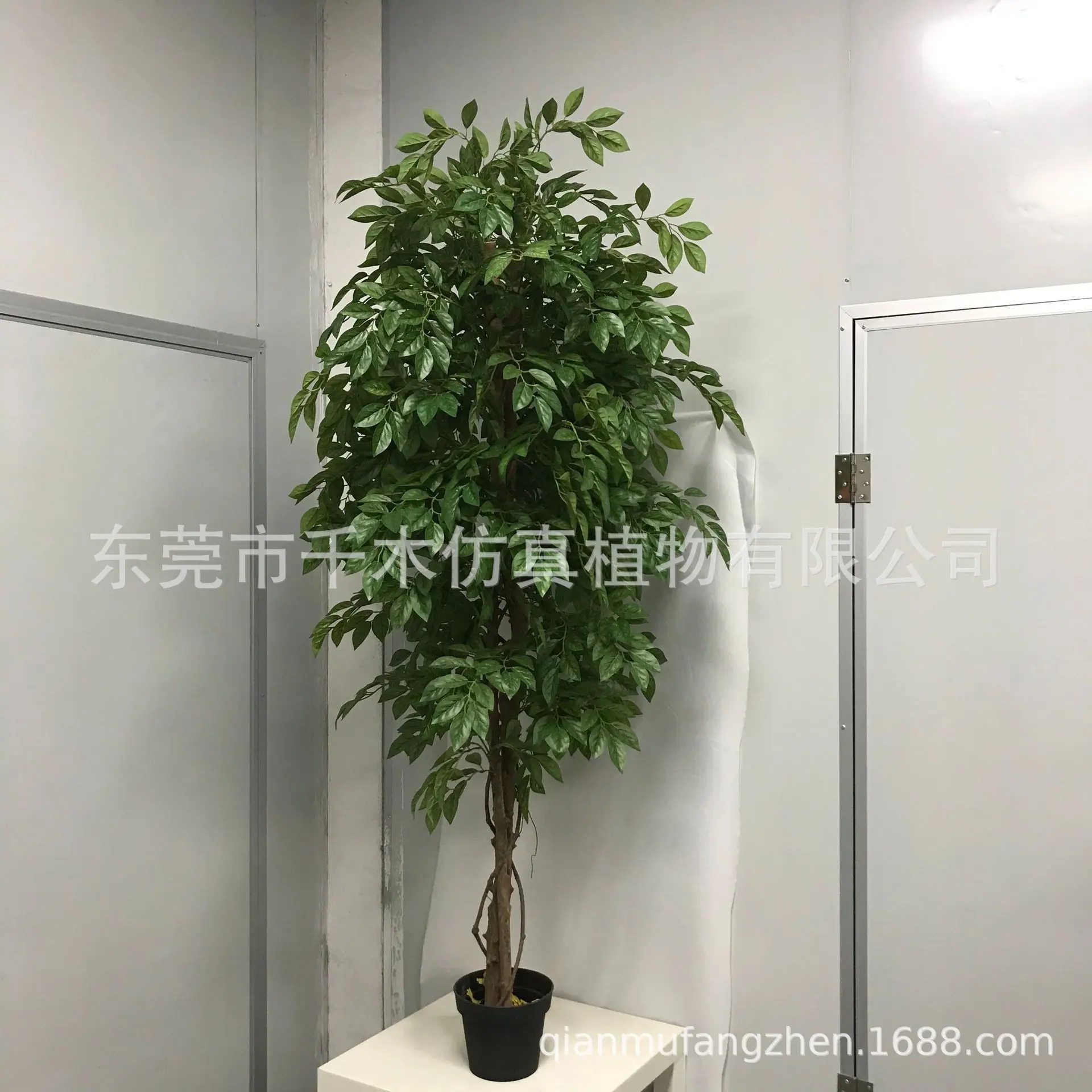 微信图片_202105280944538