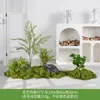 Musgo Sintético Decoración Suave para Interiores Conjunto de Micro Paisaje Combinación Exhibición en Ventana Pasillo Musgo Artificial Plantas Verdes Arreglo de Paisajismo Decoración