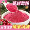 Polvo de Arándano Polvo de Fruta Gelatina Probiótica Bebida Sólida Polvo Especial de Arándano Fabricante de Materia Prima Entrega Directa