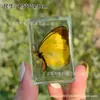 Espécime de borboleta real espécime de inseto cola de cristal resina transparente ornamentos pequenos criativos jardim de infância atrações turísticas venda quente
