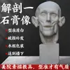 Estátua de Gesso de Davi Estátua de Gesso Ornamentos Arte Ensinamento Consciente Vênus Xiaowei Pirata Decorações Europeias e Americanas Escultura Ornamentos