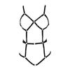 Ropa interior de una pieza con anillo para pierna y muslo, estilo europeo y americano, ajustable, uniforme sexy, tentación, traje sexy