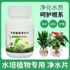Pastillas potabilizadoras para plantas hidropónicas para desodorización, esterilización y desinfección, específicamente para bambú de la suerte, nenúfares de cuenco y conservación de flores frescas