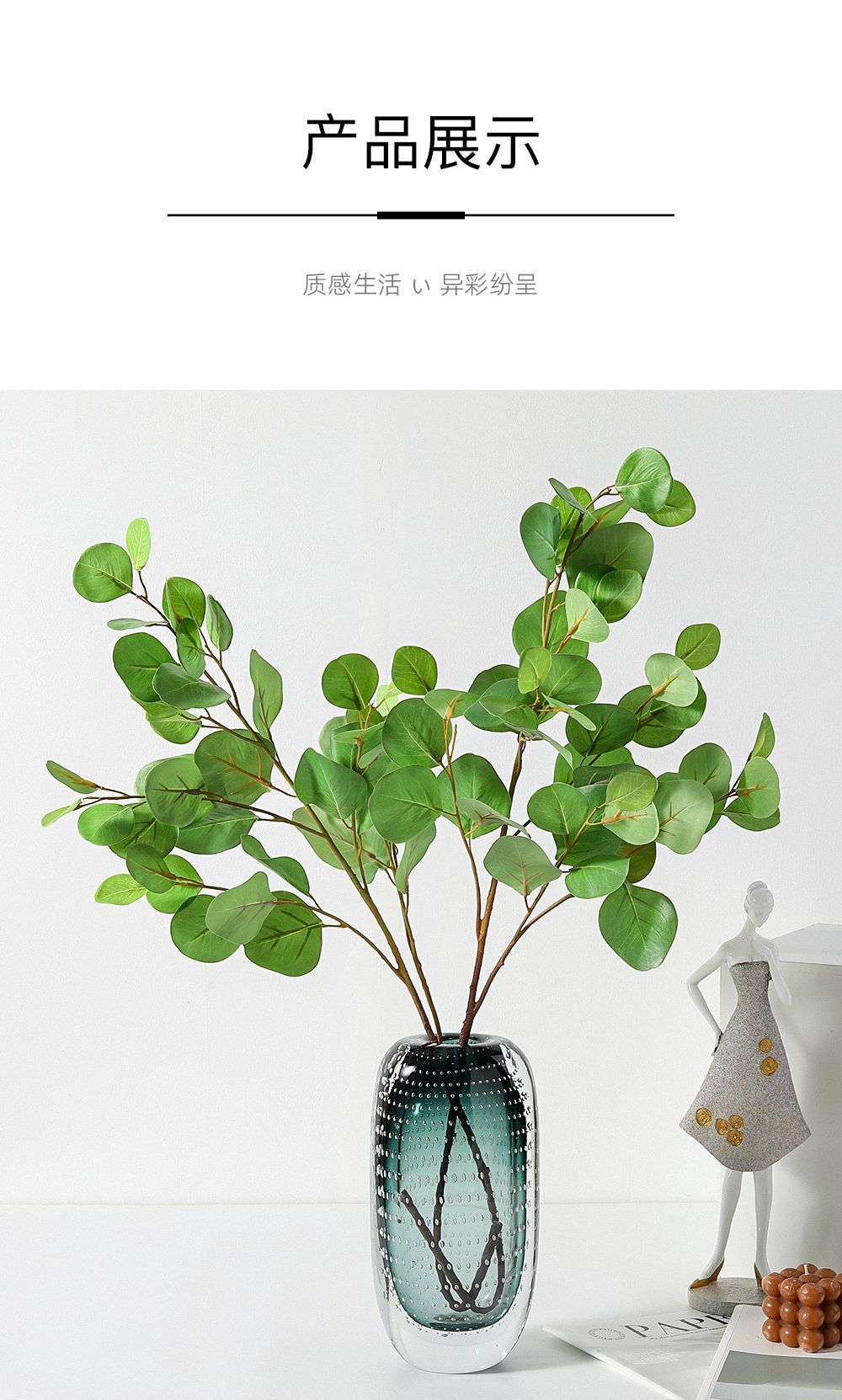 中枝尤加利详情图