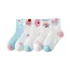 2026 Nuevos Calcetines Finos de Dibujos Animados de Clase A para Niños de Primavera y Verano para Niños y Niñas Calcetines Elegantes Calcetines para Bebés