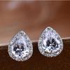 Pendientes de plata S925 con forma de flor de circón y aguja para mujer, elegantes y frescos, sencillos y cortos, con forma de pétalo.