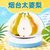 Pera de Taipei de Yantai, Shandong, disponible para entrega 2.8/4.5/ 4.25kg Pera plátano, pera de mango largo, fruta jugosa, dulce y fresca