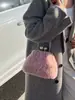 Bolsas, Bolsos Cruzados, Bolsos de Mujer, Bolsos de Hombro con Cadena de Alta Gama, Bolsos de Felpa con Forma de Concha Casual a la Moda, Bolsos Sencillos con Cierre