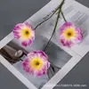 Flores de Seda Falsas de Amapola Simulada de Tres Cabezas Decoración del Hogar Boda Hotel Decoración Arreglo Floral Venta al por Mayor Transfronteriza