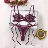 Conjunto de lencería sexy de encaje bordado europeo y americano, ligero y transparente, sujetador push-up para bustos pequeños con tanga, conjunto de dos piezas