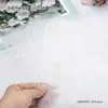 Álbum de Armazenamento Popular para Nail Art, Painel de Exibição, Livro de Coleção de Nail Art, Páginas Internas Transparentes à Prova de Poeira, Ferramentas de Nail Art para Atacado